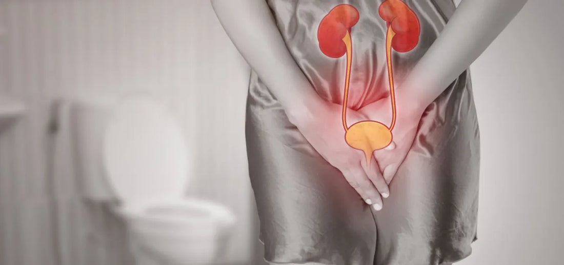 Bladder Leaks Around Menopause: Why They Happen and How to Cope Gently