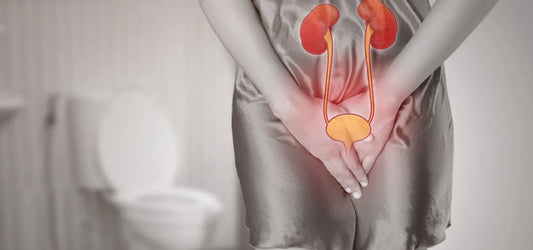 Bladder Leaks Around Menopause: Why They Happen and How to Cope Gently